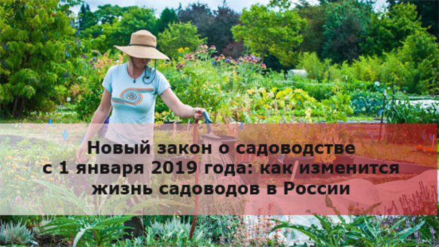 What to expect 60 million people, from January 1, 2019, after the entry into force of the law № 217 of the Federal law on horticultural and horticultural associations