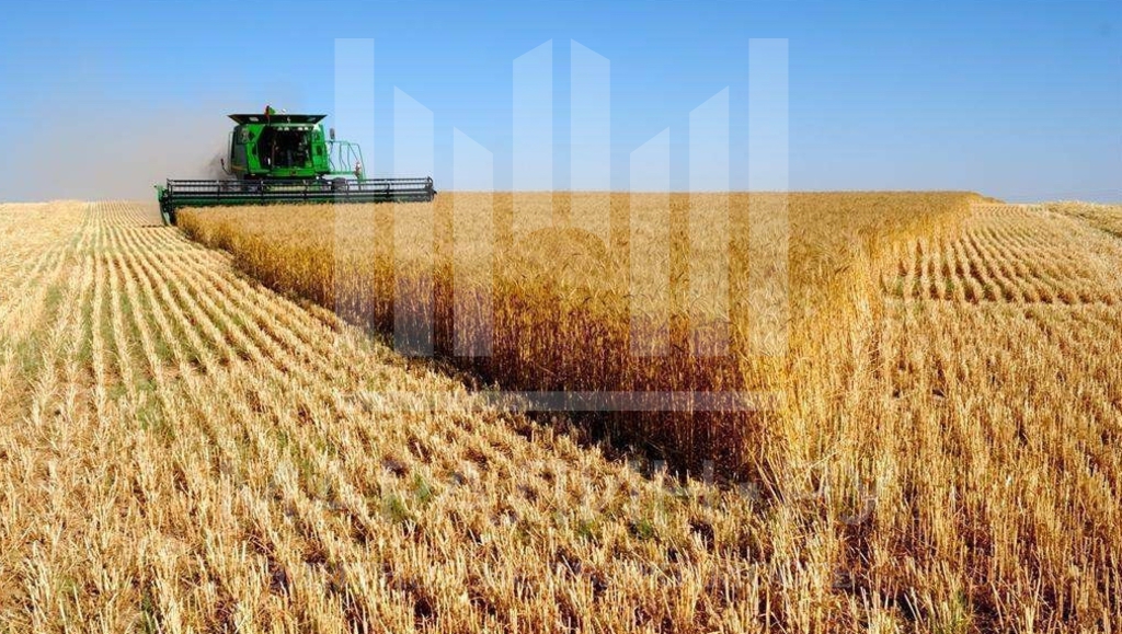 Аренда коммерческой недвижимости, Ростов-на-Дону, 1-я улица, 1