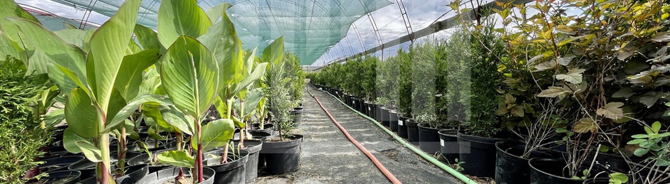 Operating greenhouse facilities