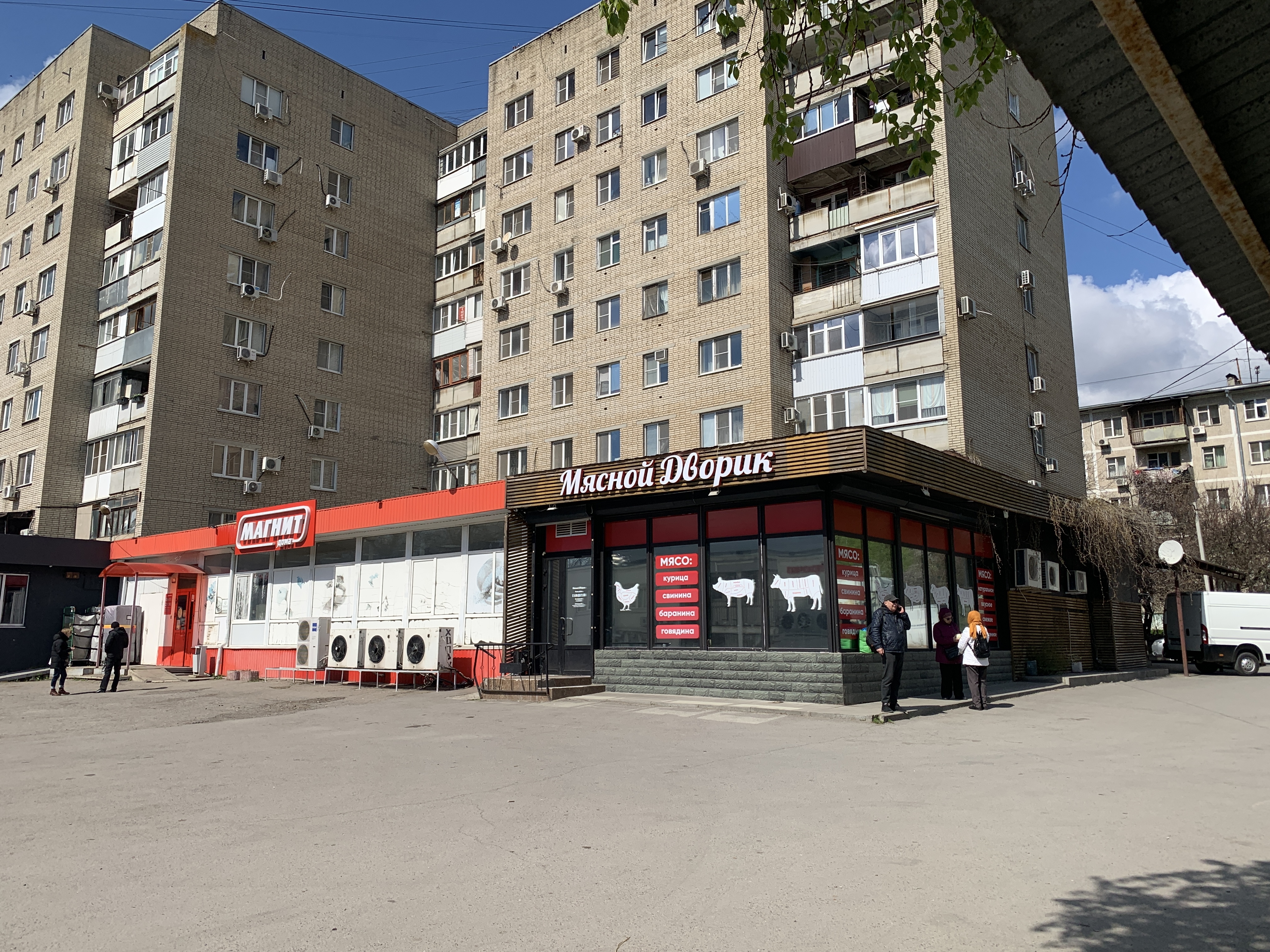 Чижик