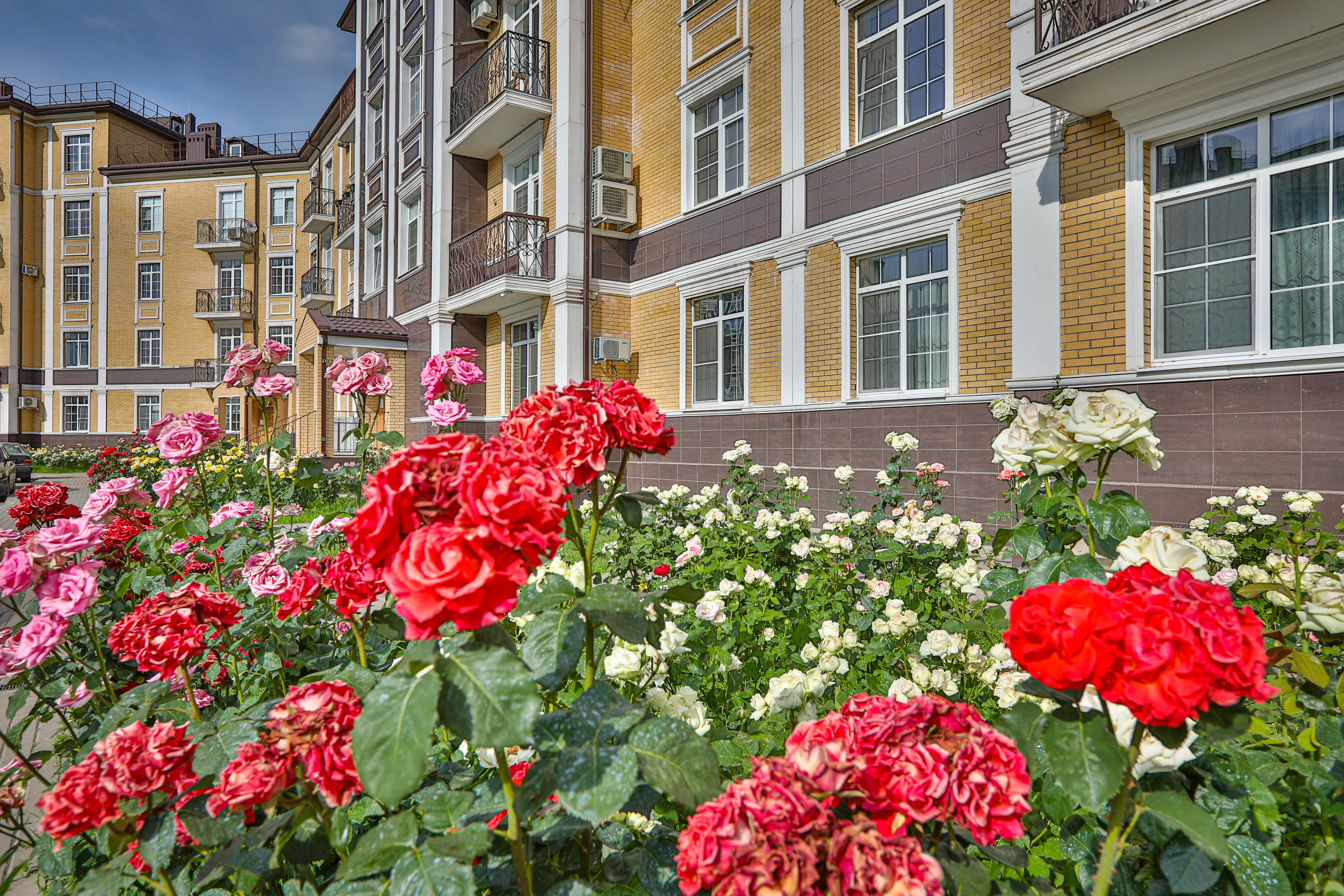 Идеально для семьи